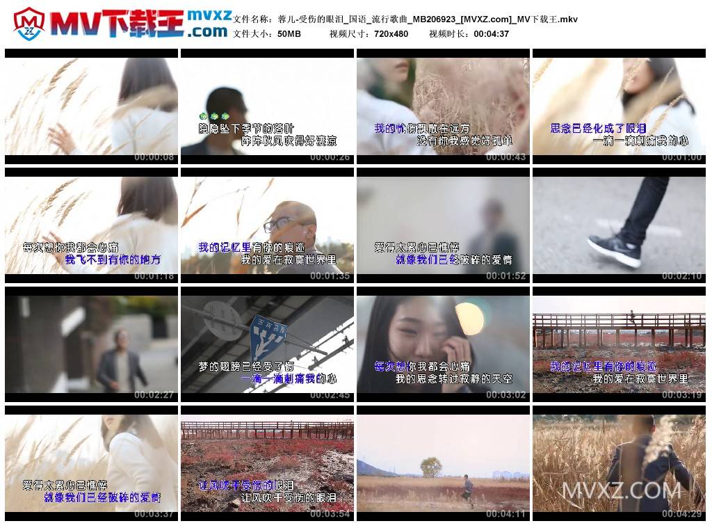 蓉儿-受伤的眼泪_国语_流行歌曲_MB206923